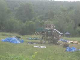 IMG 4732