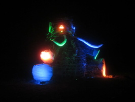 IMG 4761