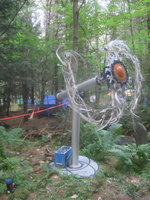 IMG 4778