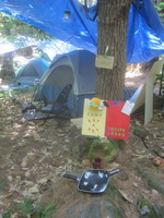 IMG 4783