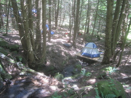IMG 4785