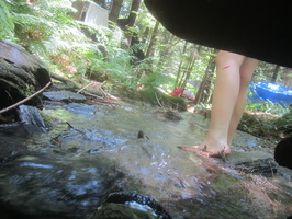 IMG 4790