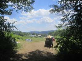 IMG 4975