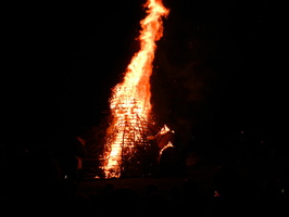 DSCN0050