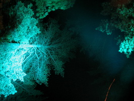 2011-07-02-1