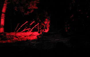 2011-07-02-3