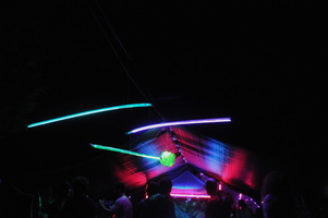 DSC 8298s
