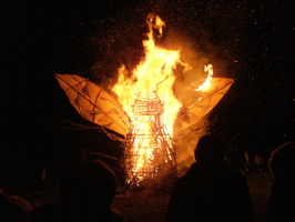 Bug burn II