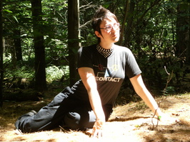 Sunlit sprite
