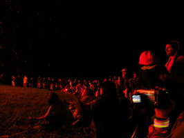 the bug is burning - crowd 1