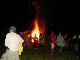 the bug is burning 3