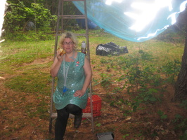 IMG 4076