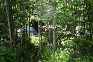 IMG 5128