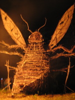 Welcome to Firefly