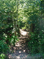 DSC05717