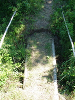 DSC05719