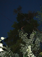 DSC05722