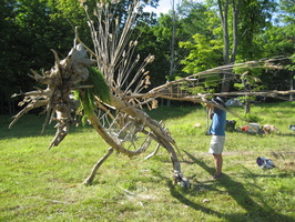 IMG 0608