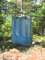 IMG 0609