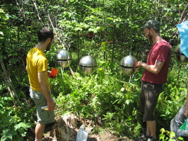 IMG 0611