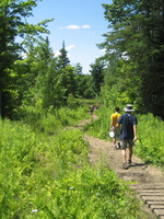 IMG 0623