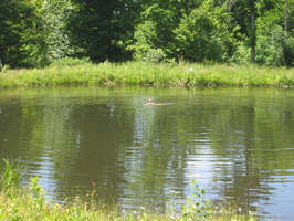 IMG 0624