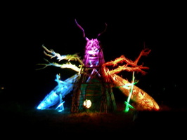 Bug 3