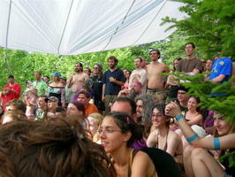 Miss Firefly Audience