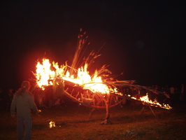 firefly08 033