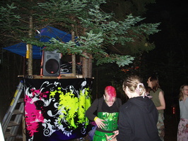 firefly08 036