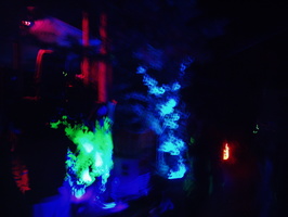 firefly08 044