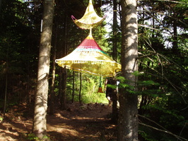 firefly08 069