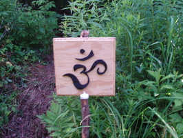 firefly08 089