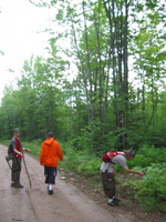 IMG 4208