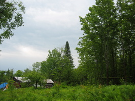 IMG 4220