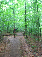 IMG 4227