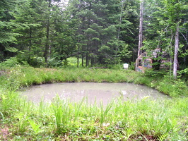 DSCN2722