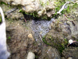 DSCN0546