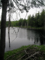 DSCN0585