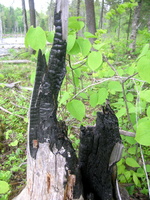 DSCN0589