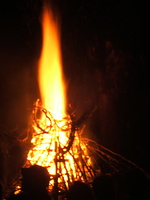 DSCF0548a