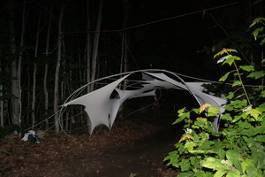 Firefly 2007 - 5
