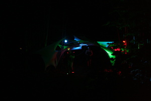Firefly 2007 - 14