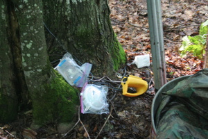 Firefly 2007 - 71