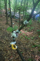 Firefly 2007 - 77