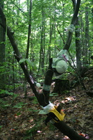 Firefly 2007 - 78