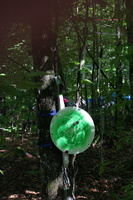 Firefly 2007 - 91