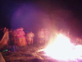 firefly07 047
