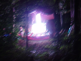 firefly07 049