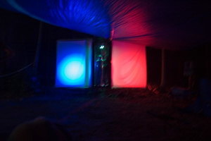 firefly041